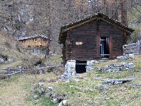 Knopf-t-Gattersage_8-Mhle