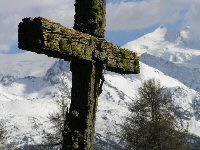 Knopf-t-Kreuz-Moos_3