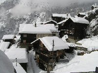 Knopf-t-Steinhaus-Neuschnee