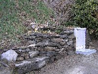 Knopf-t-Verteilerkasten-Rabatte_20-Pflanzen