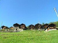 Knopf-t-Zenspringen_1-korrigiert