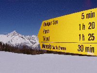 Knopf-t-stand_4-korrigiert