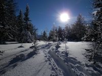 Knopf-t_Tiefschnee-Schneeschuhspur-Sonne-blau_1