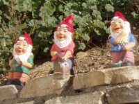 t-Knopf-Zwerge_17-Neubau