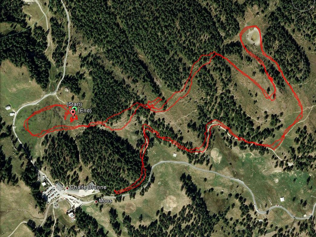 t-Törbel_Langlauf_Moos_grosse Runde-6,65km-242hm t-Törbel_Langlauf_Moos_grosse Runde-6,65km-242hm