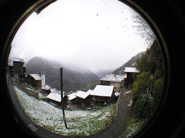 t-Webcam_22-10-14_1215-V�gel