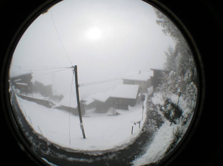 t_Webcam_11-11-16_1251 t_Webcam_11-11-16_1251