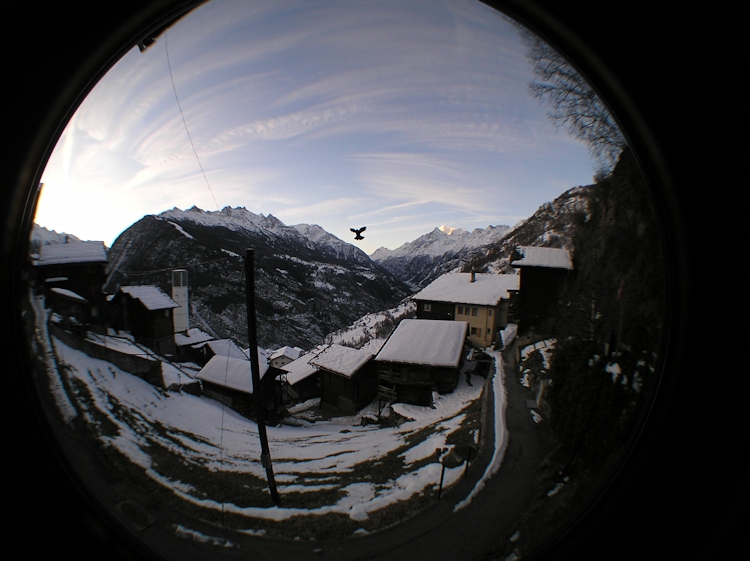 t_Webcam_31-12-19_0826